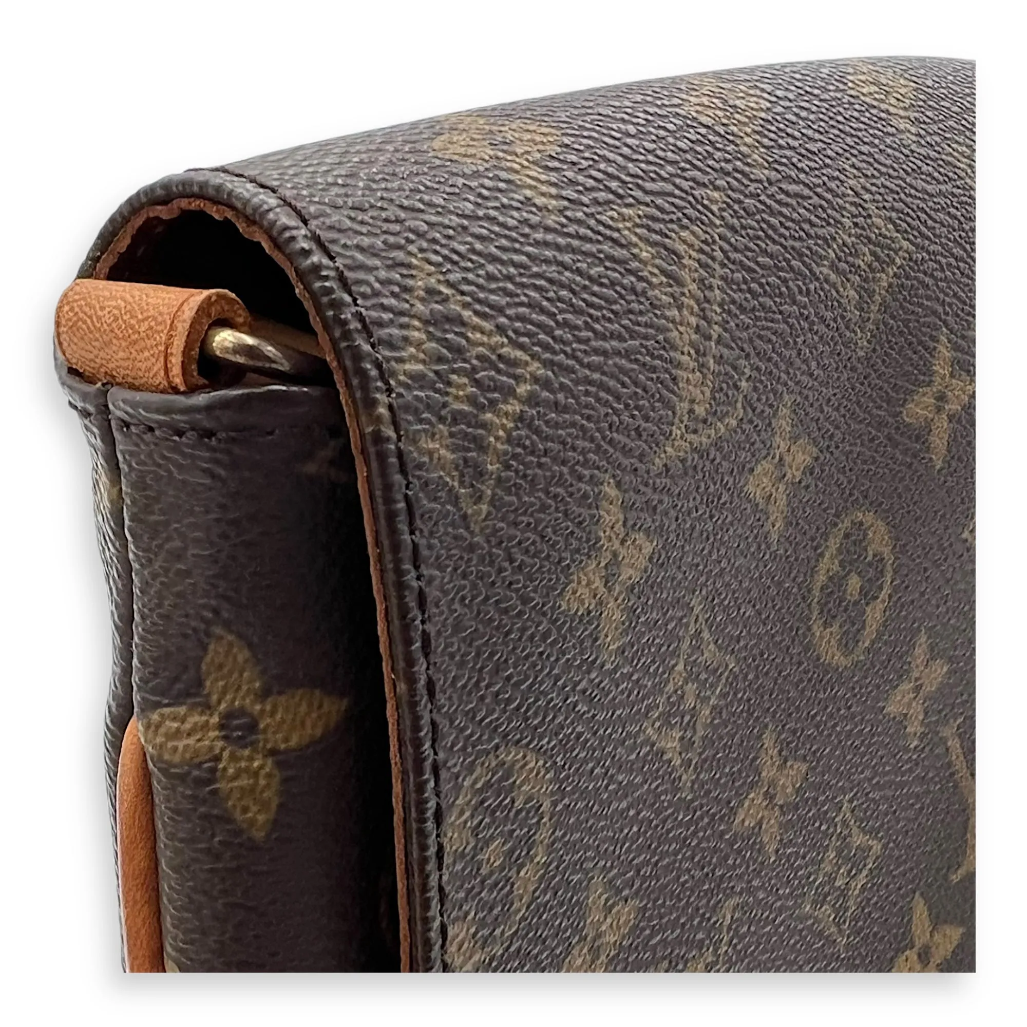 Musette Salsa Crossbody Bag Brown in Monogram Coated Canvas, Gold hardware