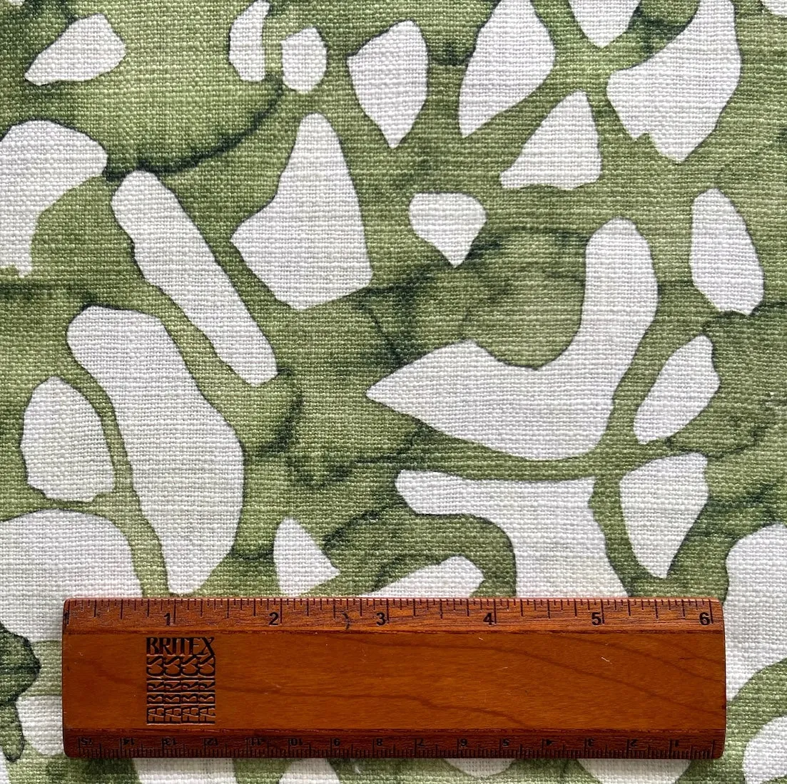 Softly Amorphous Spring Moss Cotton Canvas (Made in India)