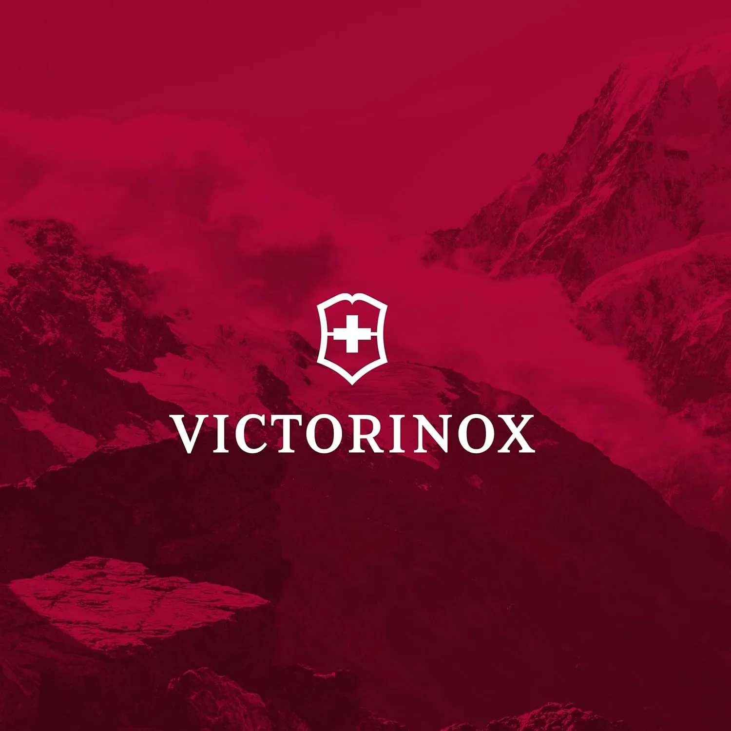 Victorinox VX Sport EVO Compact Backpack - Modern Backpack to Carry Travel Accessories - Includes Airflow Channels & Adjustable Straps - 20 Liters, Black